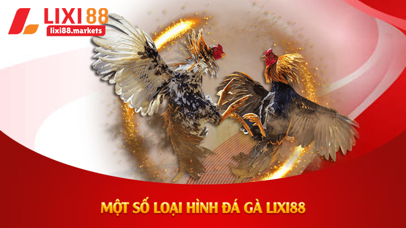 Một số loại hình đá gà lixi88