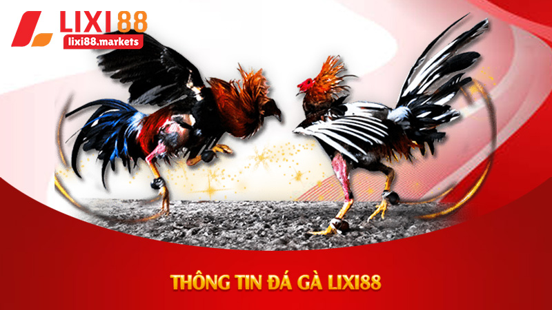 Thông tin đá gà lixi88